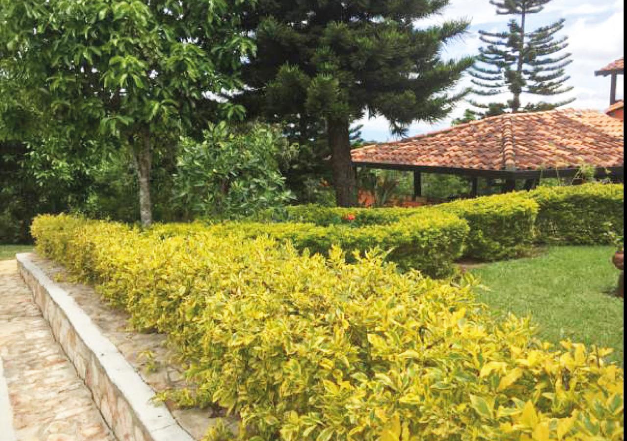 Hotel Cristo Rey Campestre Los Santos  Exteriér fotografie